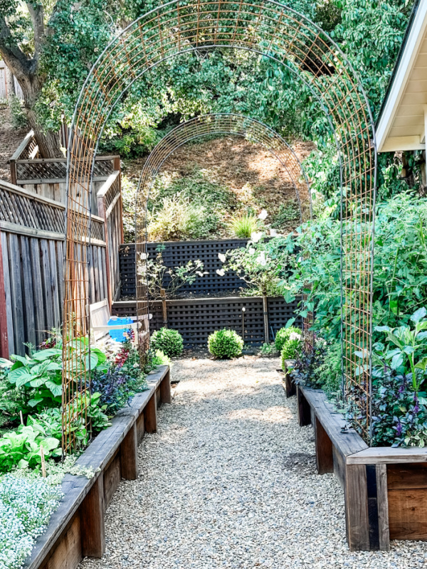 Arched trellis' just placed in raised garden beds.