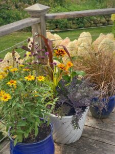 Fall planters from Molly in Maine.