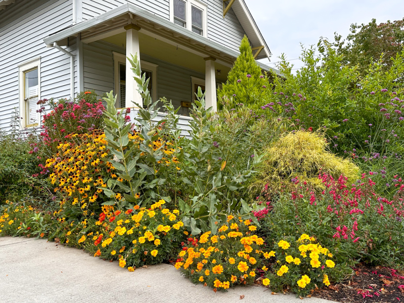 Garden outside home in McMinnville, Oregon.