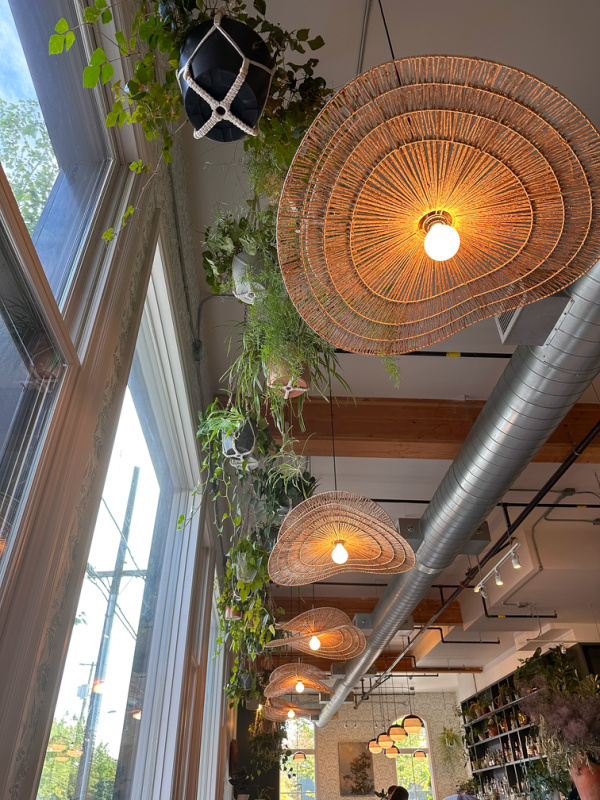 Pendant light details in Cypress restaurant.