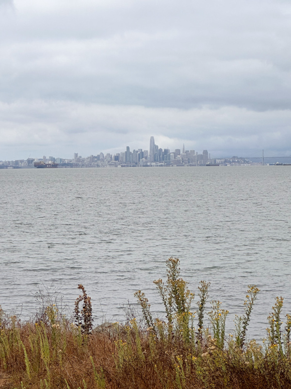 San Francisco skyline from Alameda Island.
