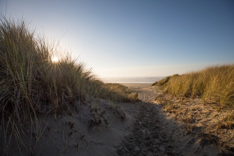 Path to beach in Bandon Oregon.