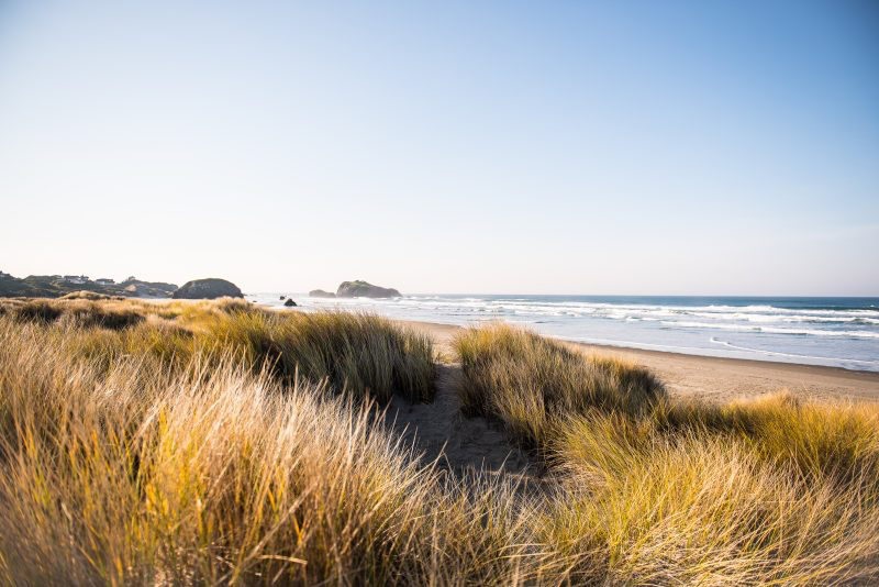 Beach at Bandon, Oregon.