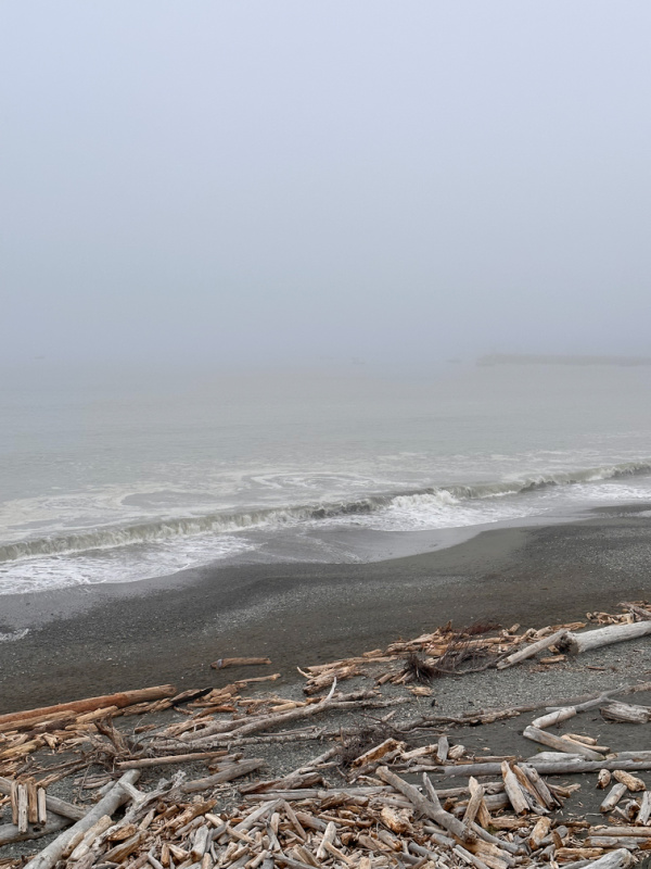 Beach at Brookings, Oregon.