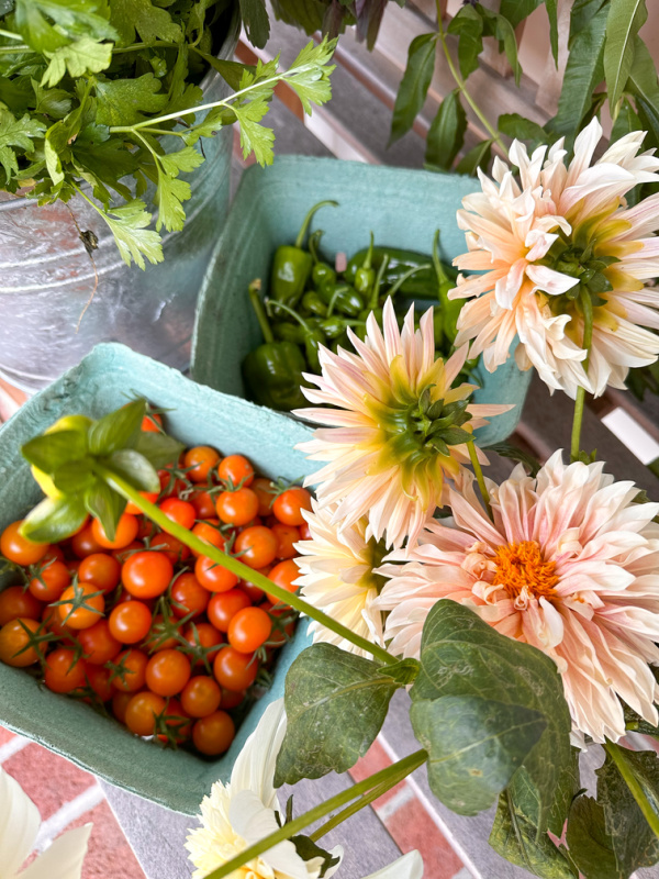 Fall harvest from home garden.
