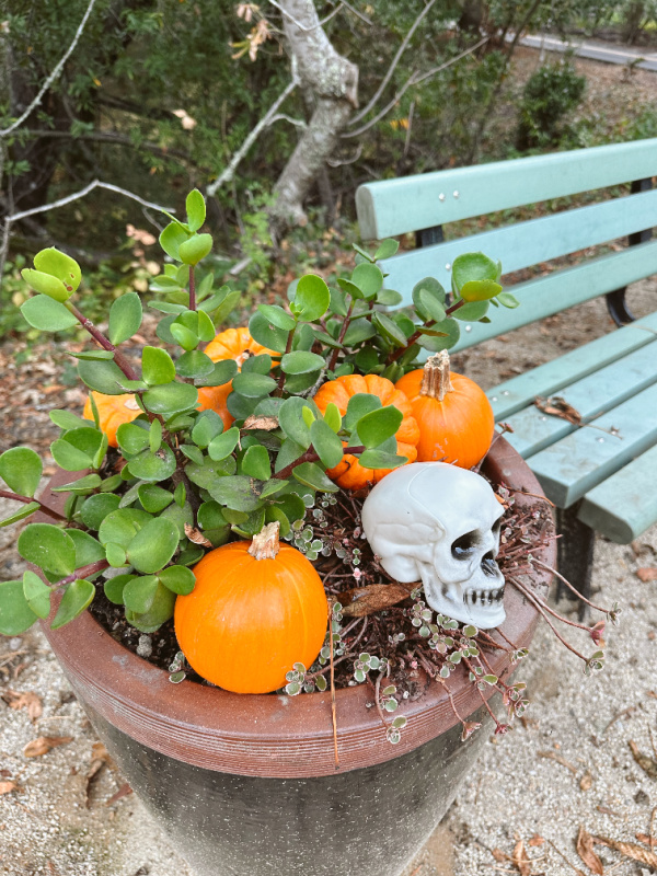 Sleepy Hollow neighborhood decorated for Halloween.