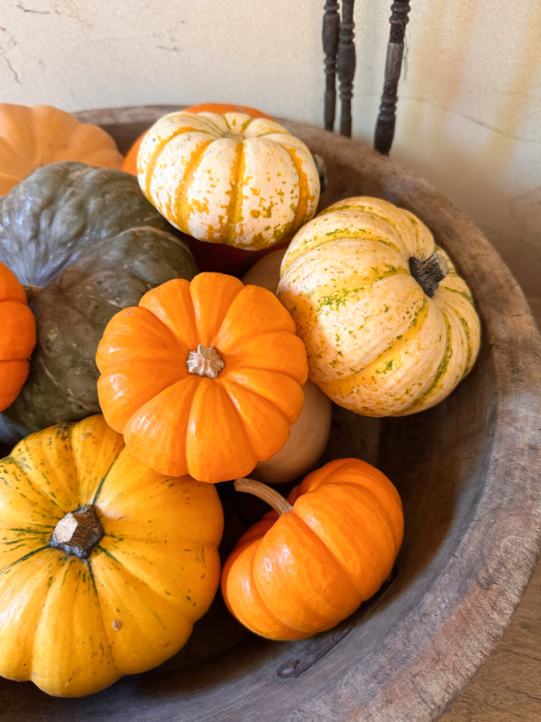 Wooden bowl filled with small pumpkins.
