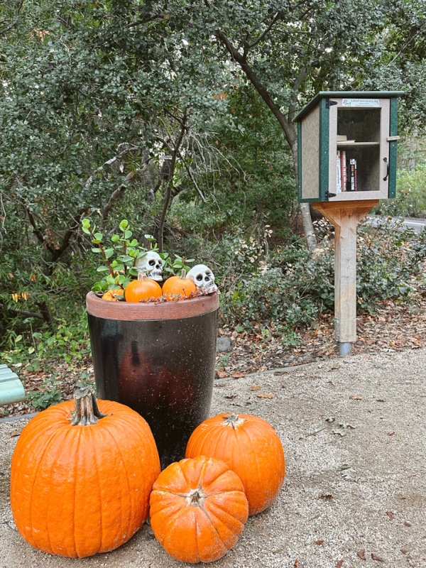 Sleepy Hollow neighborhood decorated for Halloween.