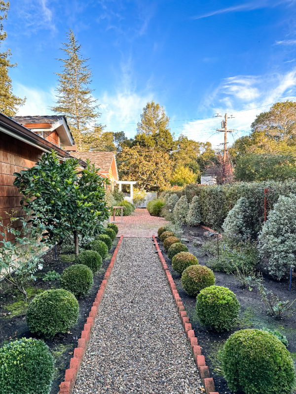 Magnolia tree gone from front yard landscape.