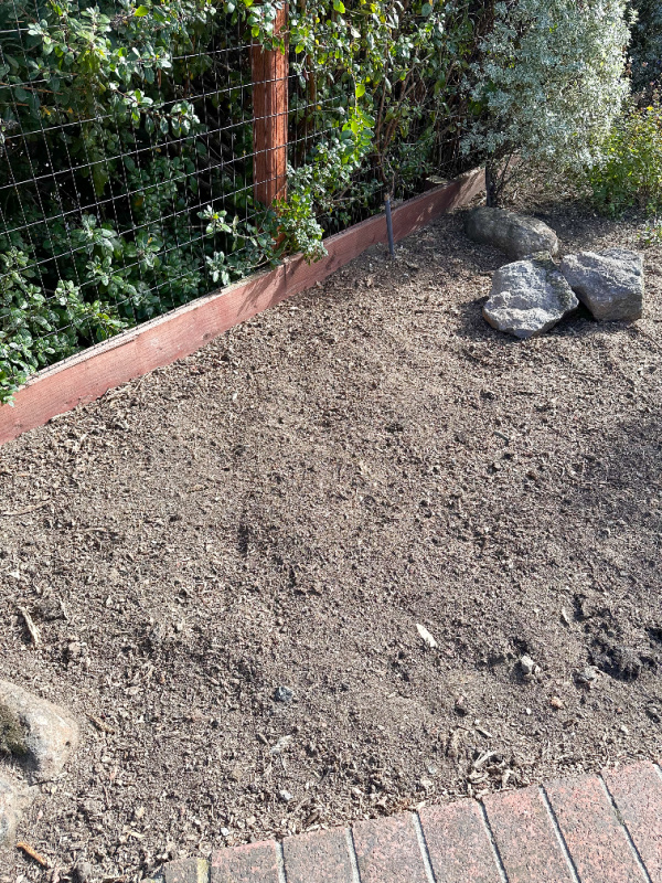 Magnolia tree completely gone, empty piece of land.