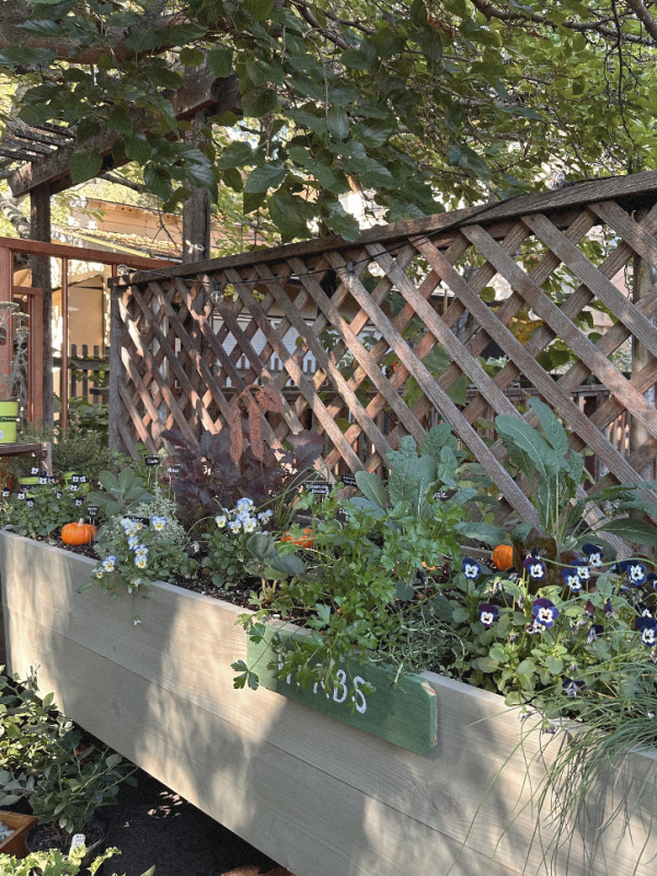 Garden Nest Shop in Orinda, California.