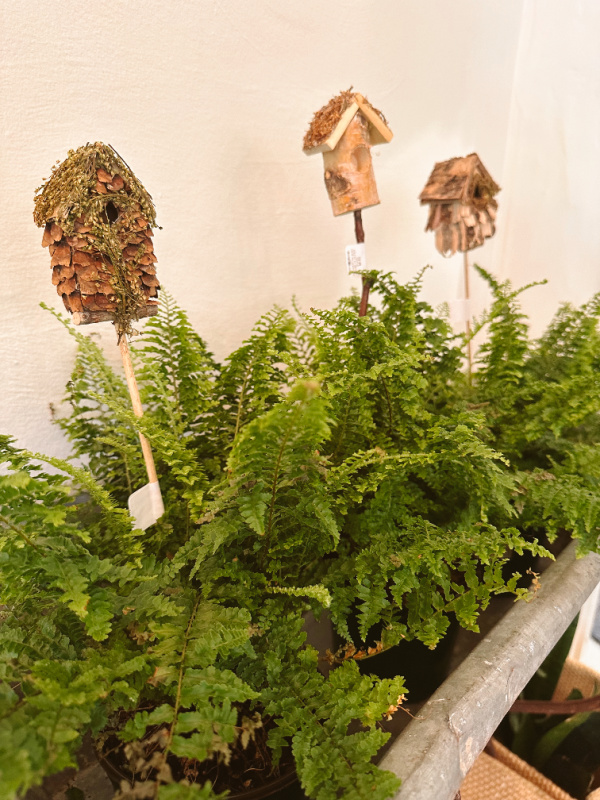 Garden Nest Shop in Orinda, California.