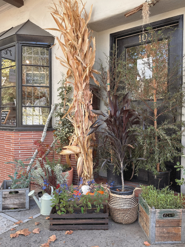Garden Nest shop exterior in downtown Orinda.