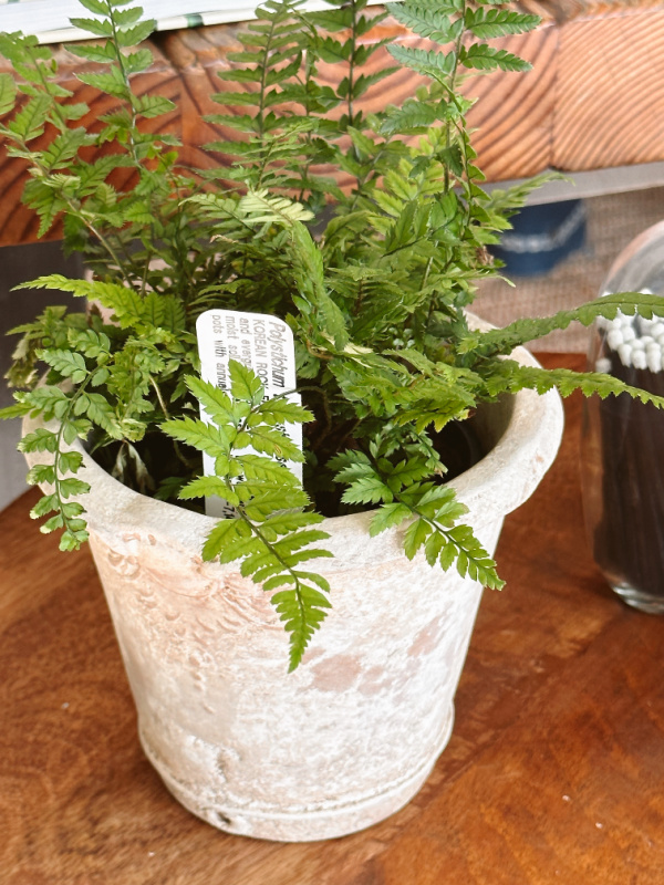 Garden Nest Shop in Orinda, California.