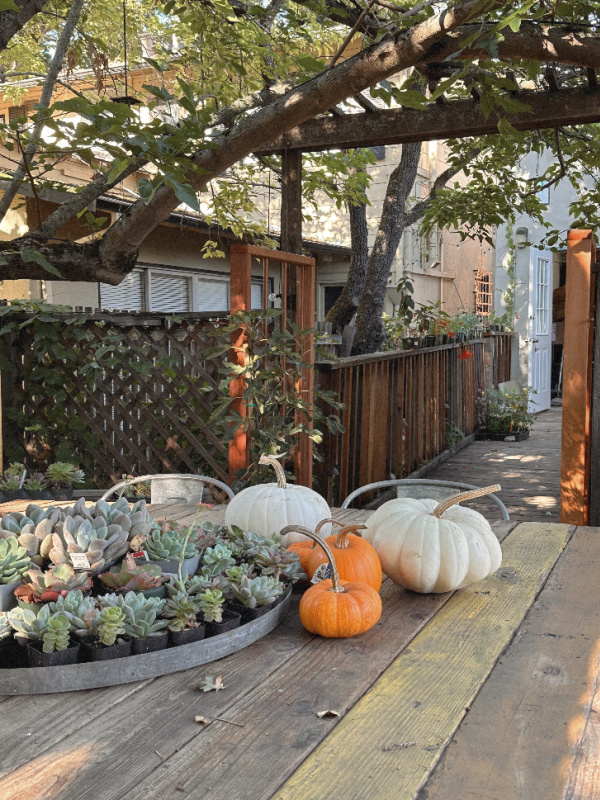 Garden Nest Shop in Orinda, California.