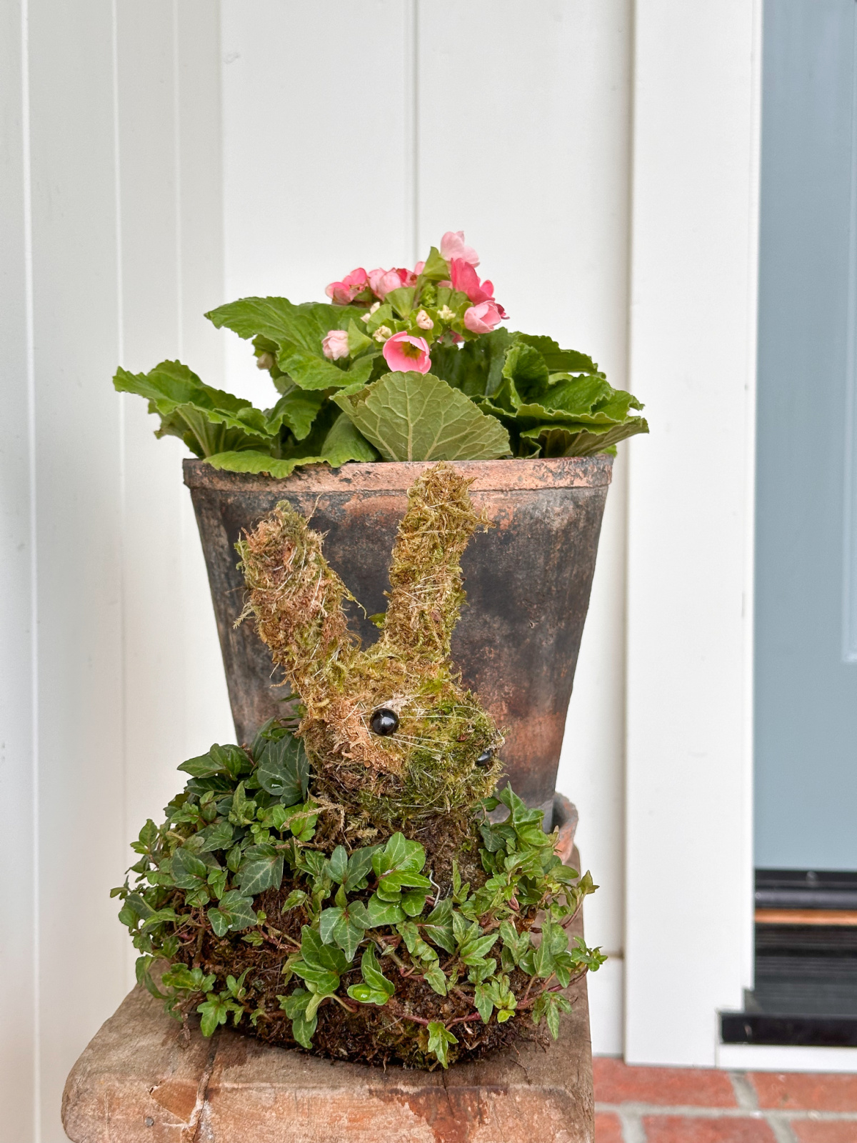 Ivy covered bunny and spring flower on front porch stool.