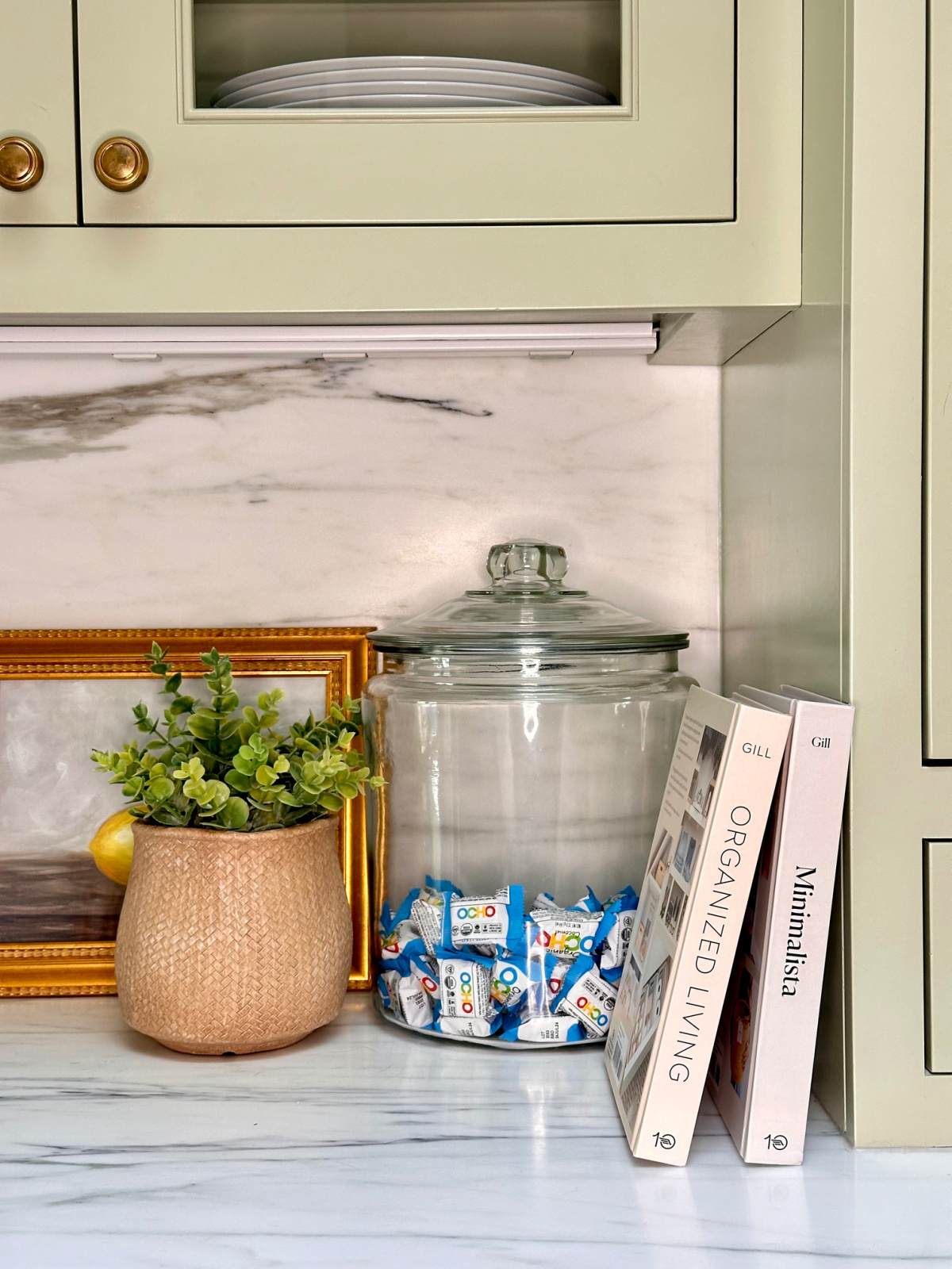Shira Gill organization books leaning against kitchen counter.