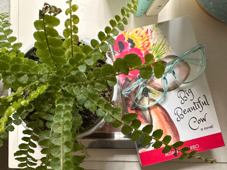 Big Beautiful Cow book.