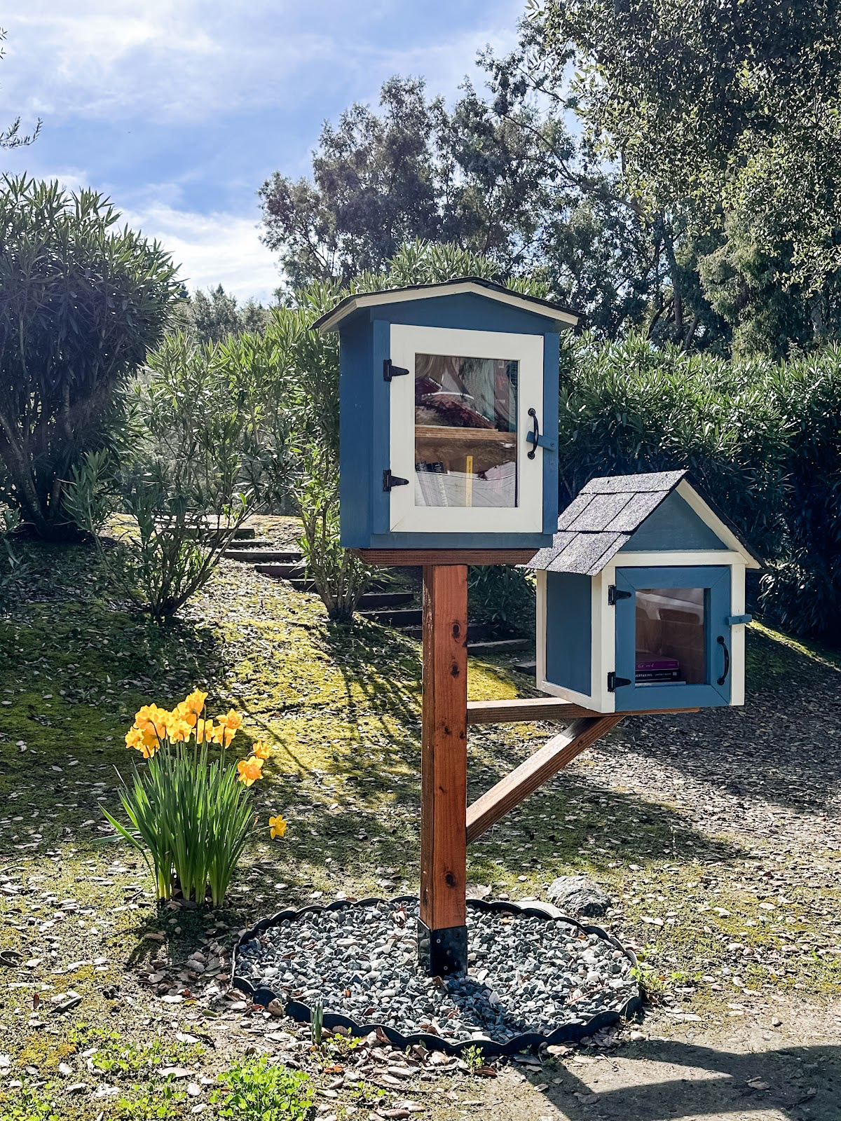 Neighborhood take one, leave one library next to blooming daffodils.