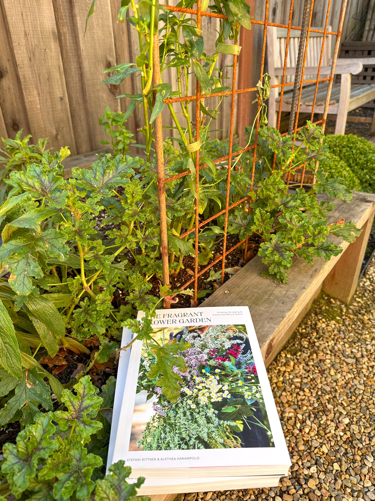 Books sitting on raised bed garden ledge.