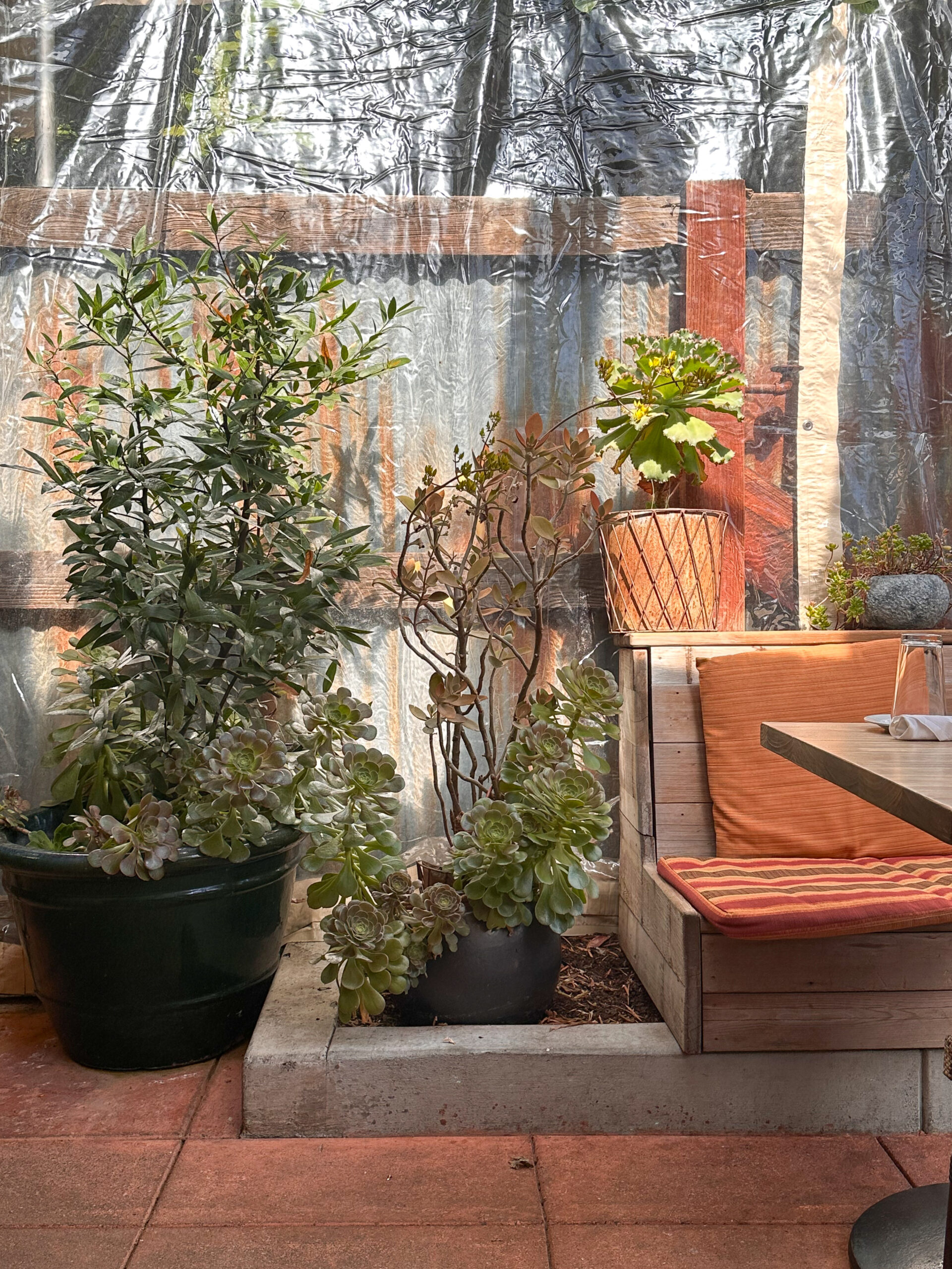 Patio at Girl and the Fig