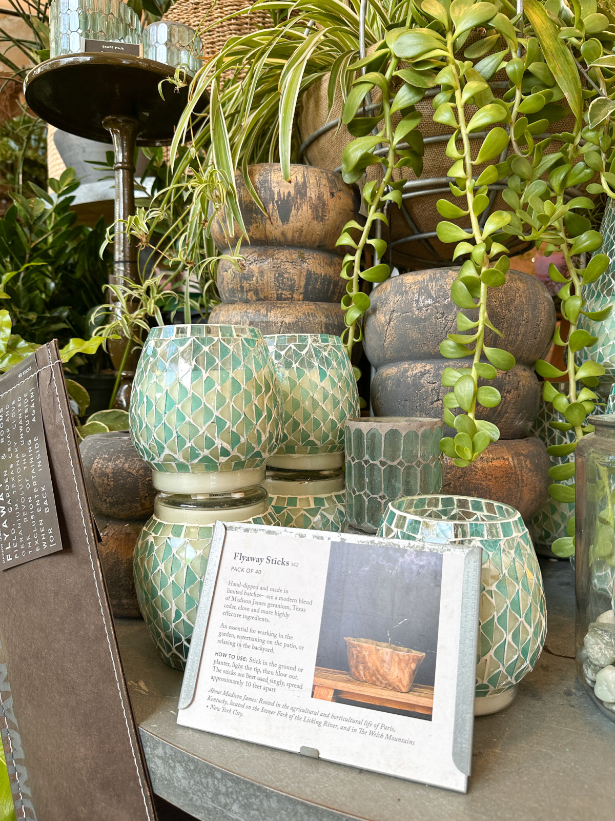Display of green citronella candles at Terraine.