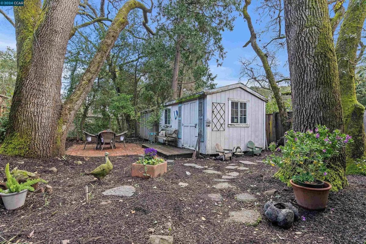 Wooded backyard with small sheds.