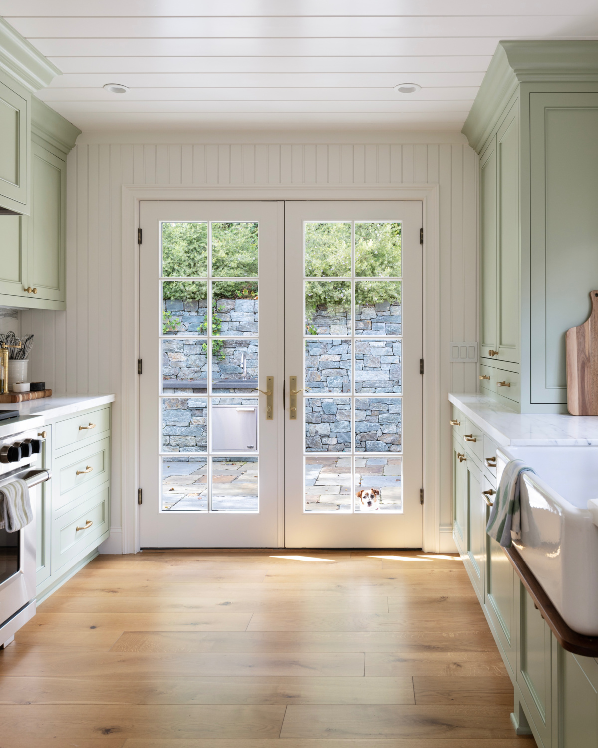 Looking through galley kitchen to French doors into backyard and little Jack Russell Terrier looking in.