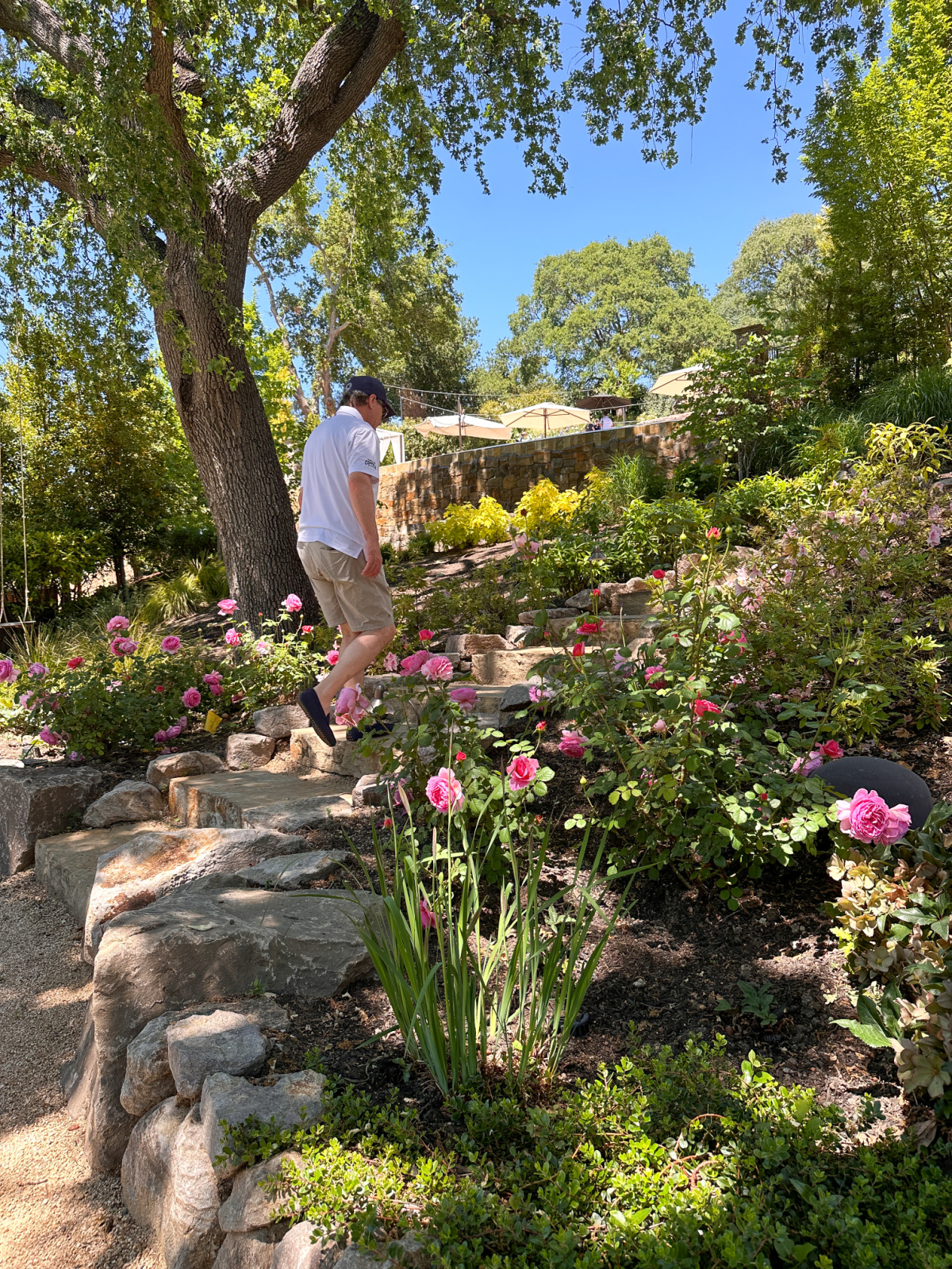 Main walking up steps in garden.