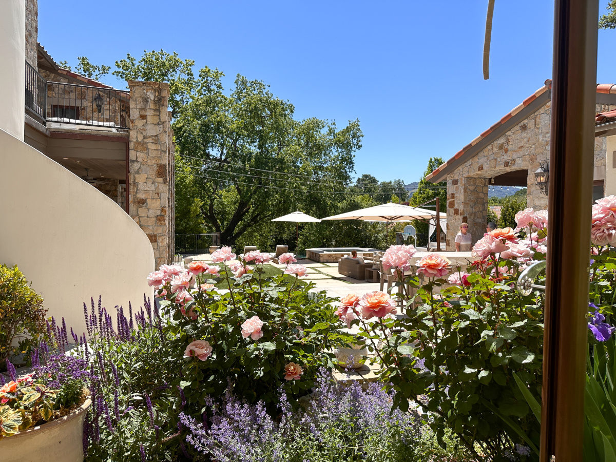 Rose filled patio.