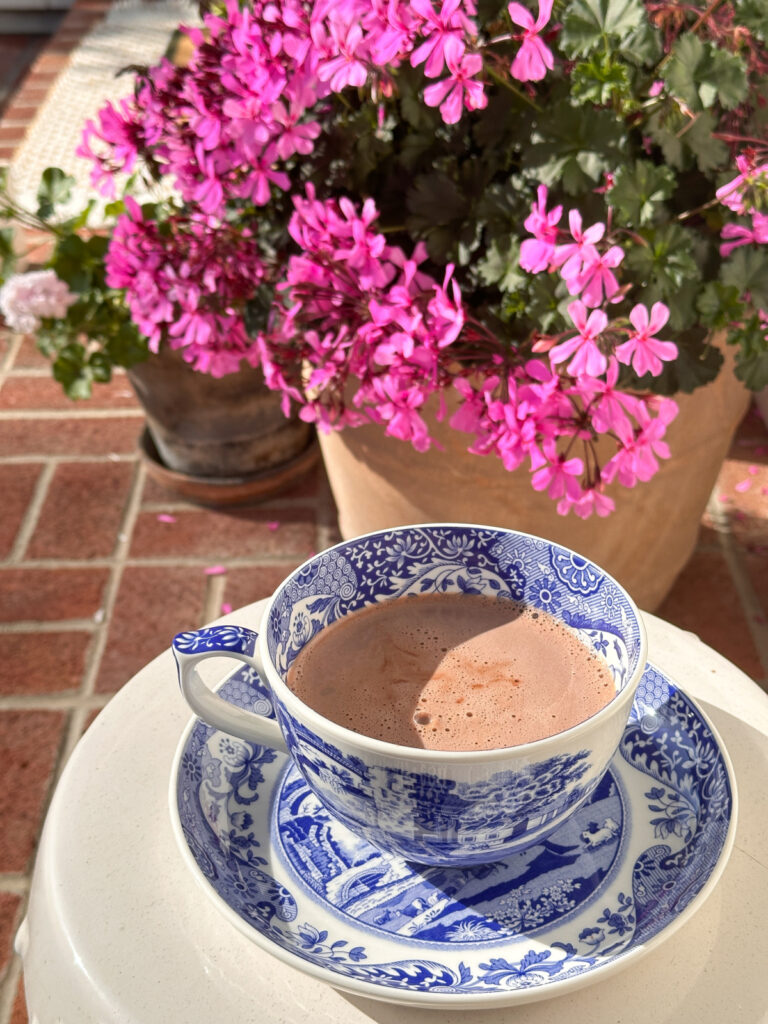 Big blue and white cup and saucer filled with cocoa on table next to bright point geranium.