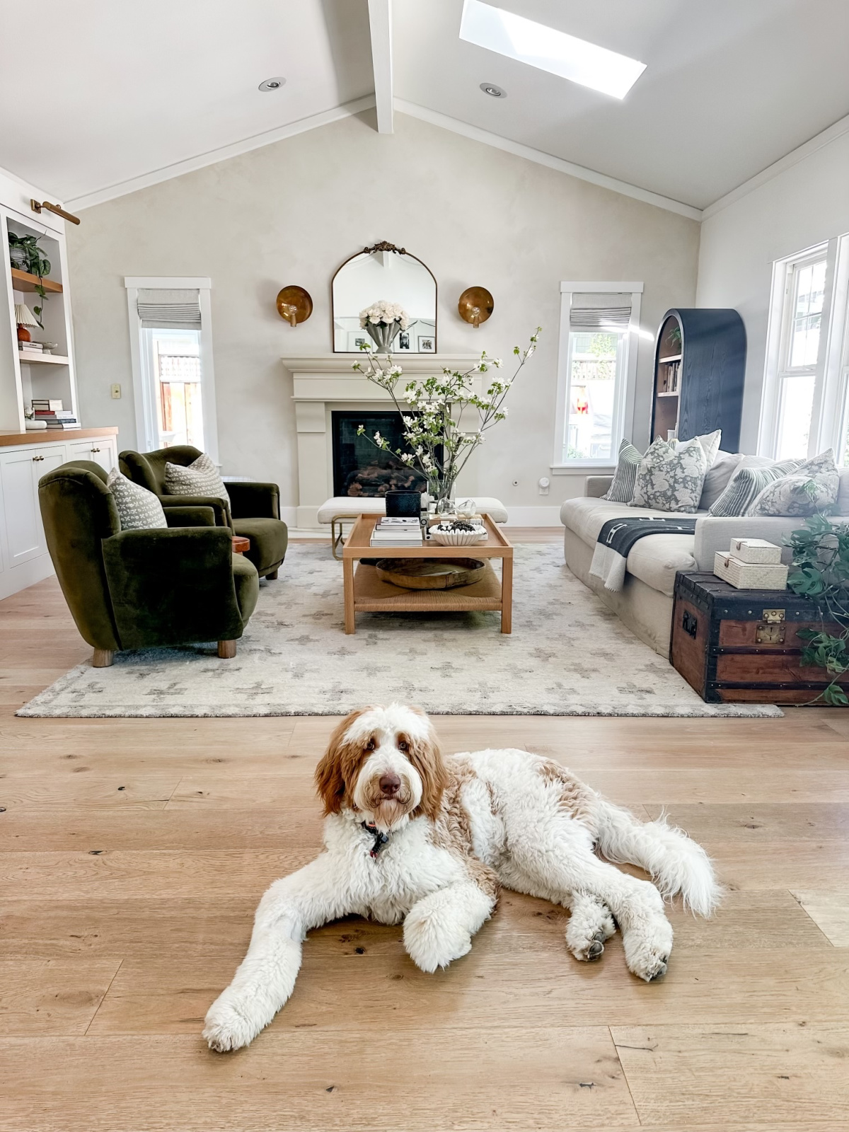 Dog laying on hardwood floor in front of beautiful living room.