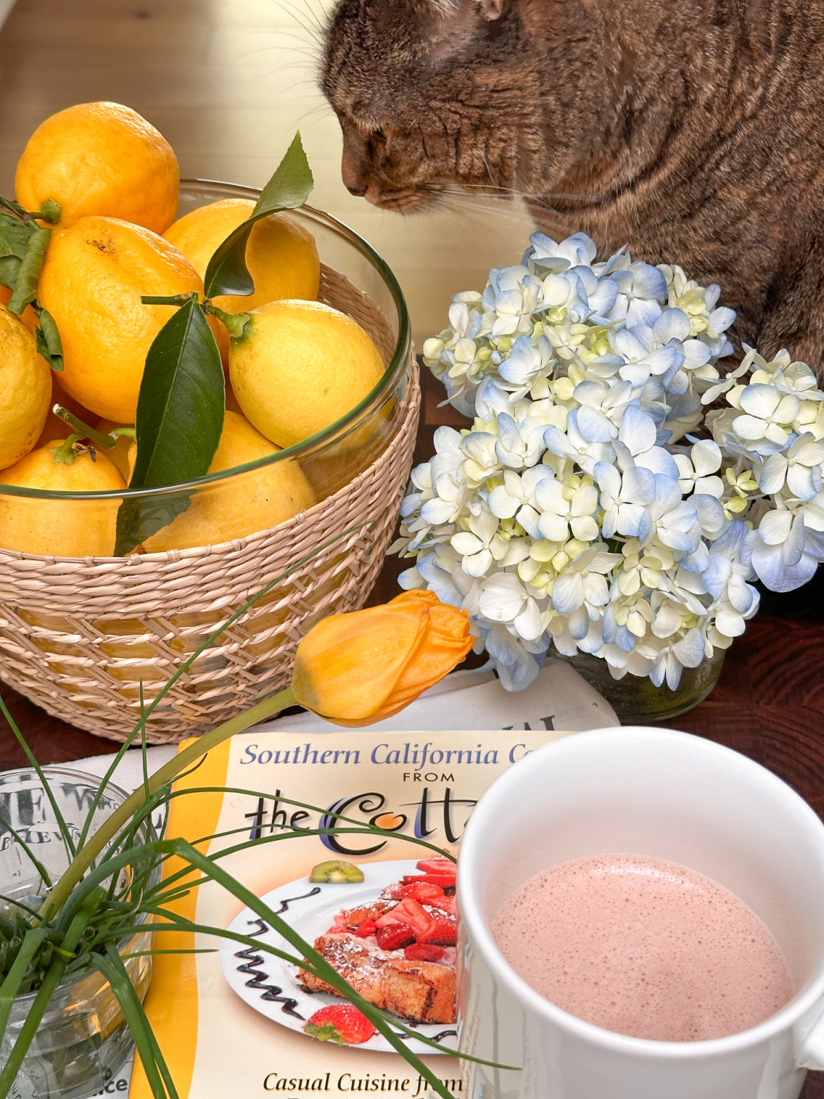 Overhead shot of cat next to bowl of lemons, hydrangea stem, chives in water glass, one tulip, a cookbook with mug of cocoa on top.