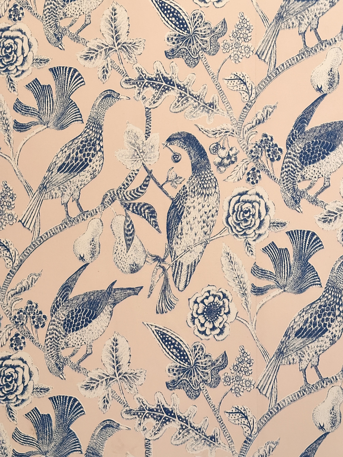 Blue and white wallpaper with bird motif.