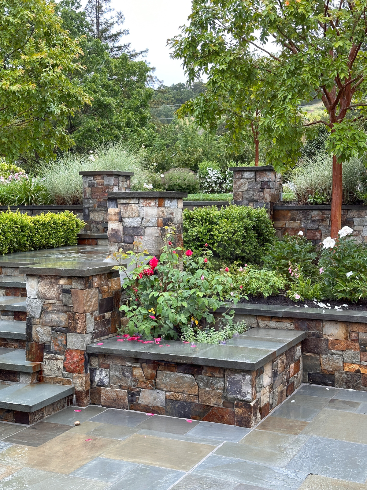 Looking out at beautiful stone wall, steps leading to lush garden.