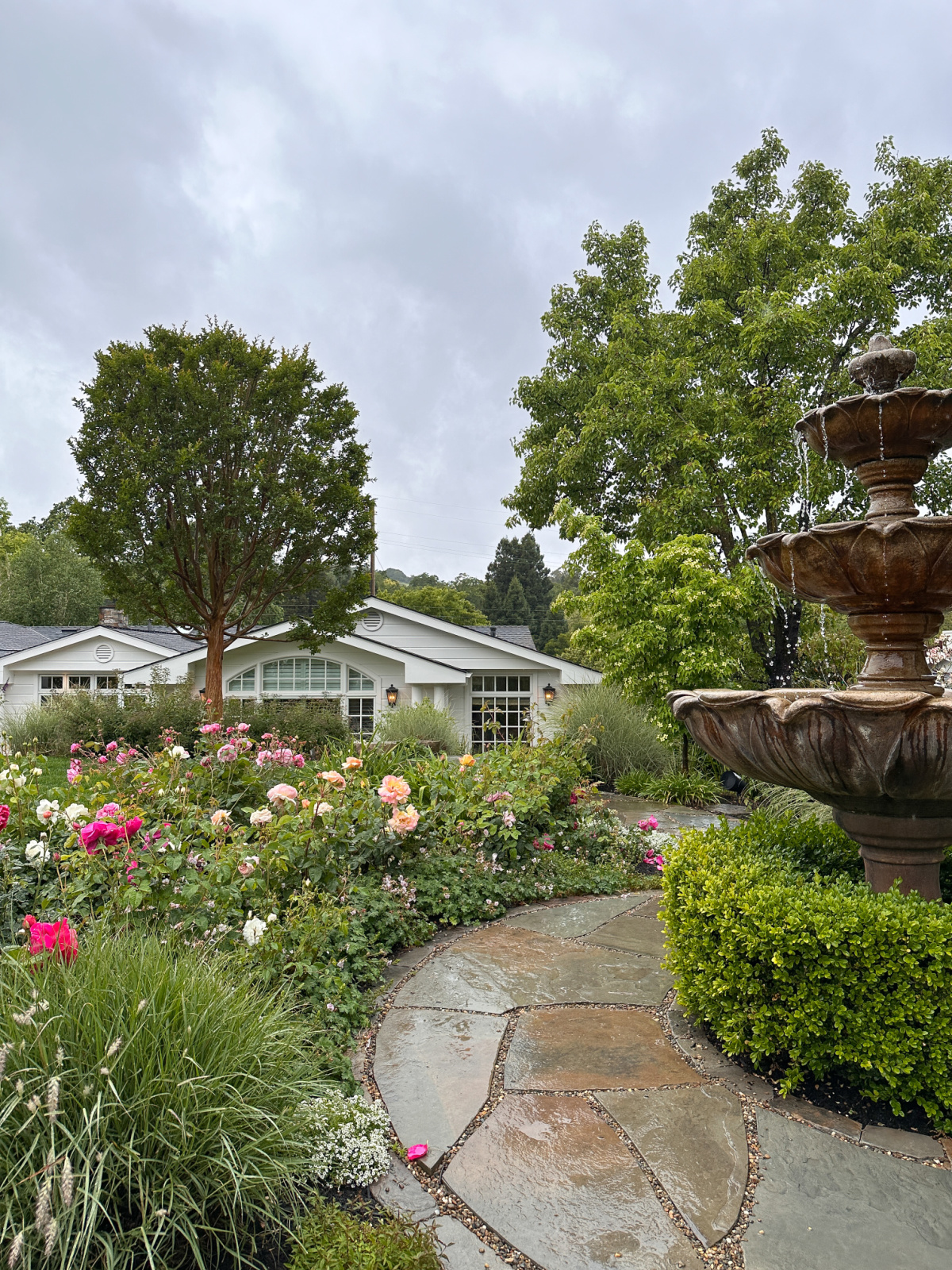 Pretty rose garden and fountain with White House in background.