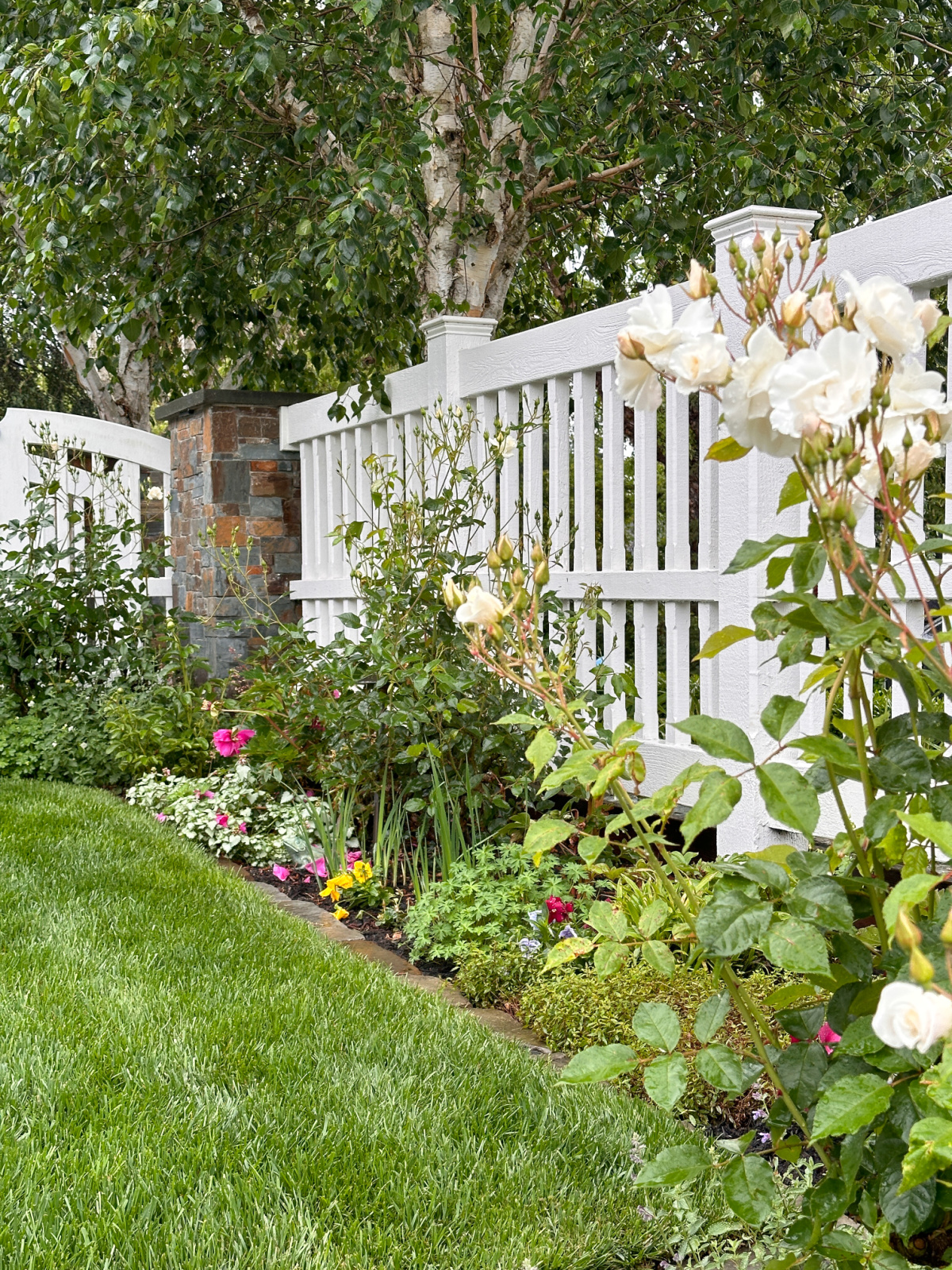 Colorful garden border next to lush lawn and white picket fence.