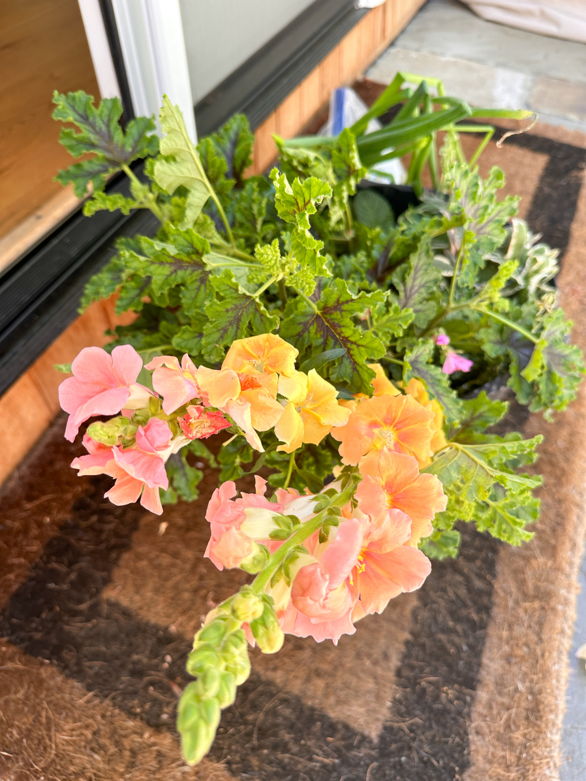 Bucket of flowers and greenery on back step.