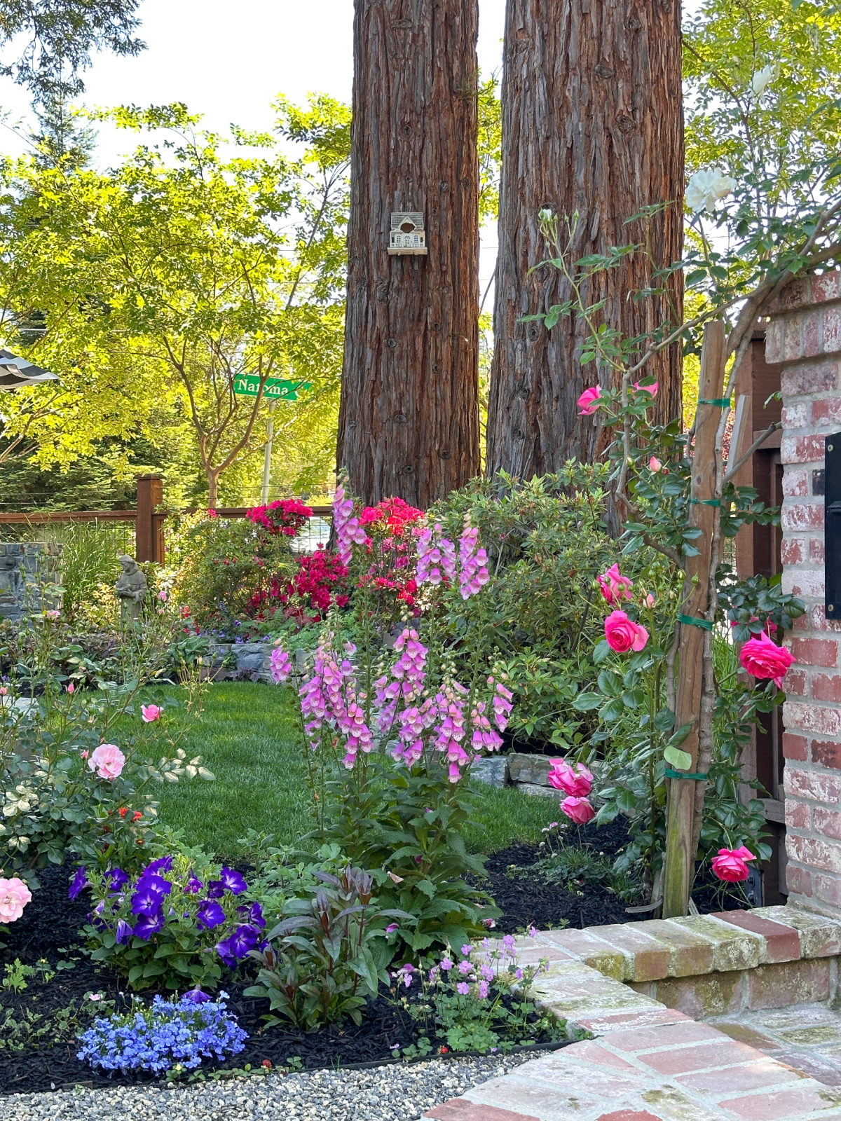 Colorful summer garden.