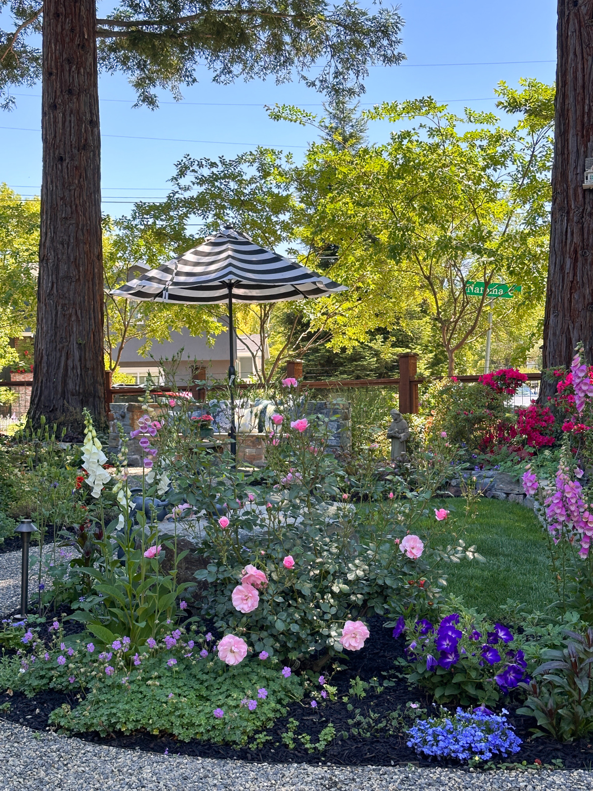 Pretty front yard garden in Northern California.