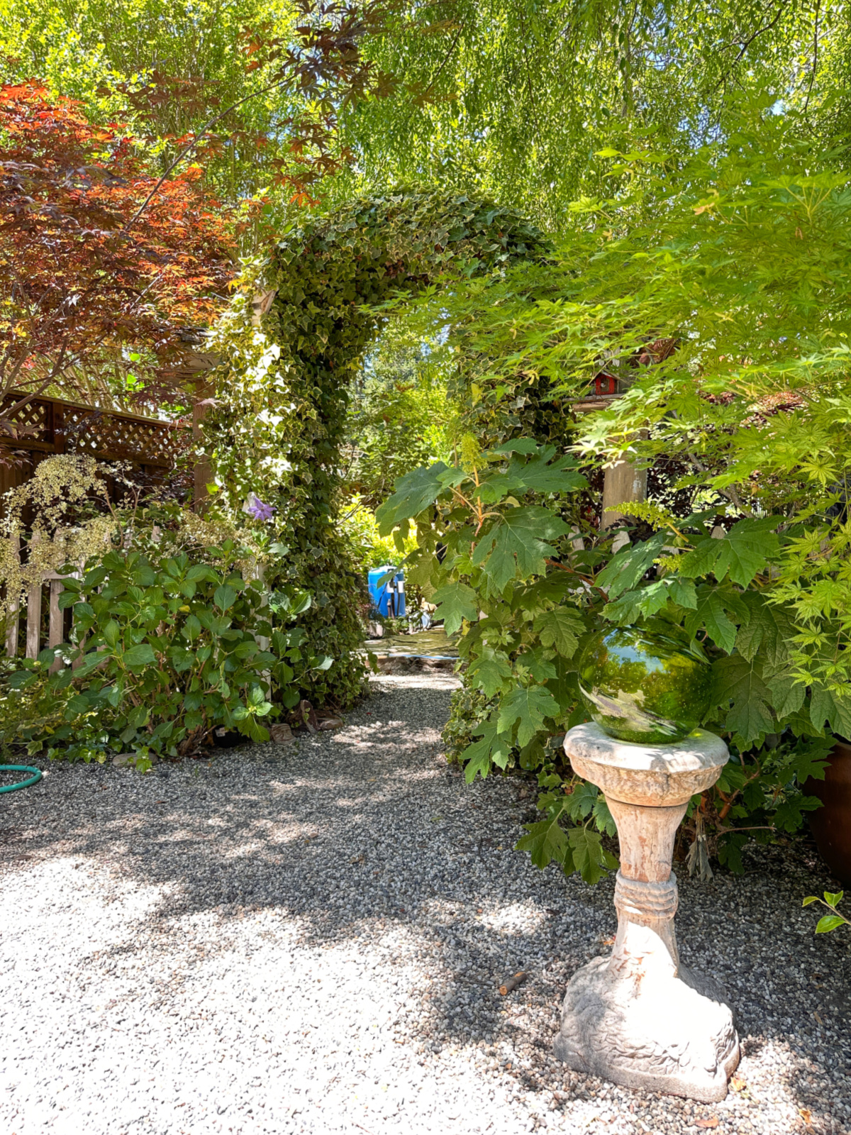 Lush garden arched trellis with greenery all around.