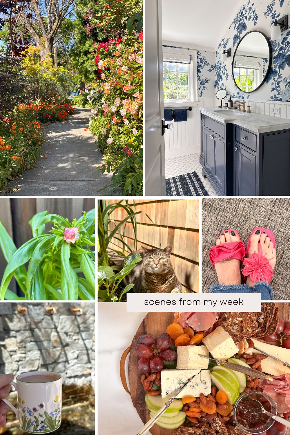 Scenes from my week collage.