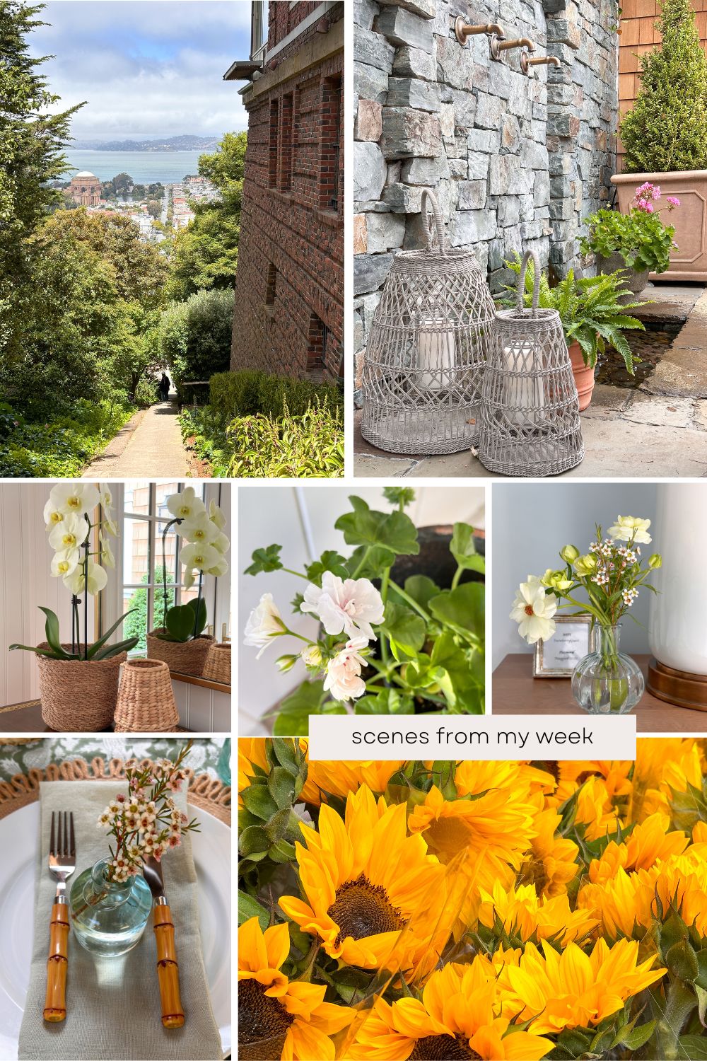 Scenes from my week collage.