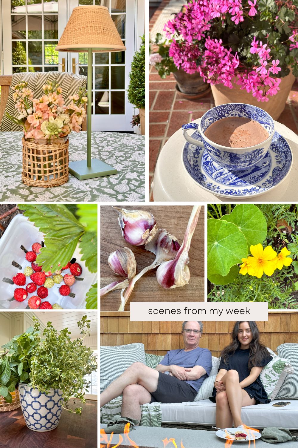 Scenes from my week post collage.