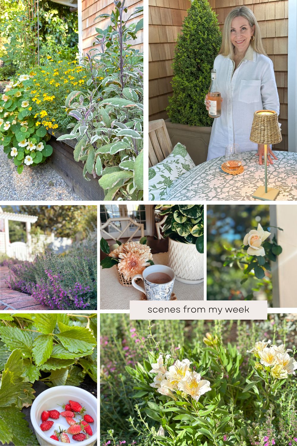 Scenes from my week collage.