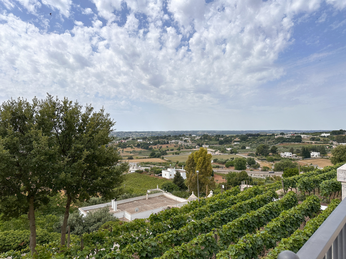 View of vineyards in Locorotondo.
