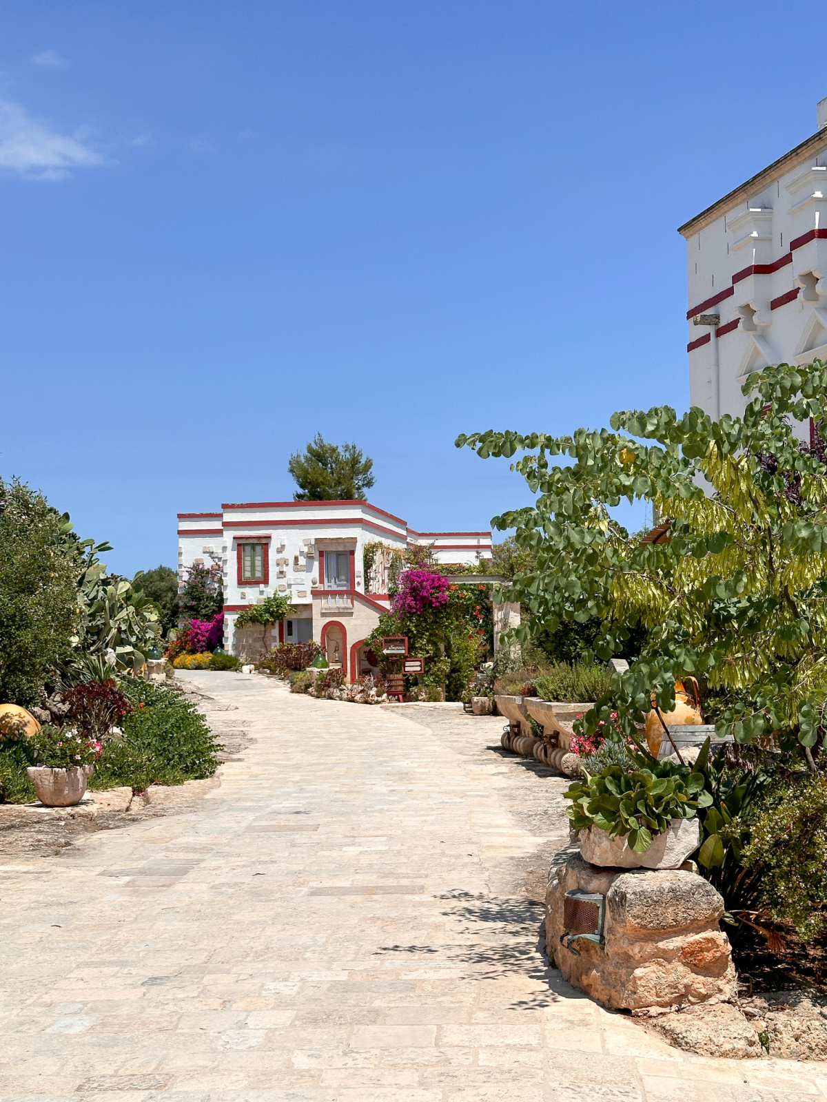 Reception wagon and main building at Masseria Montenapoleone.