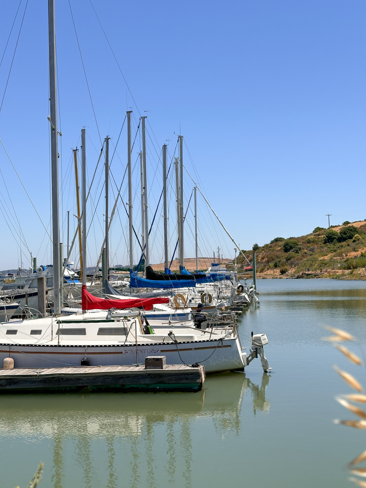 Sailboats in San Pablo Harbor.