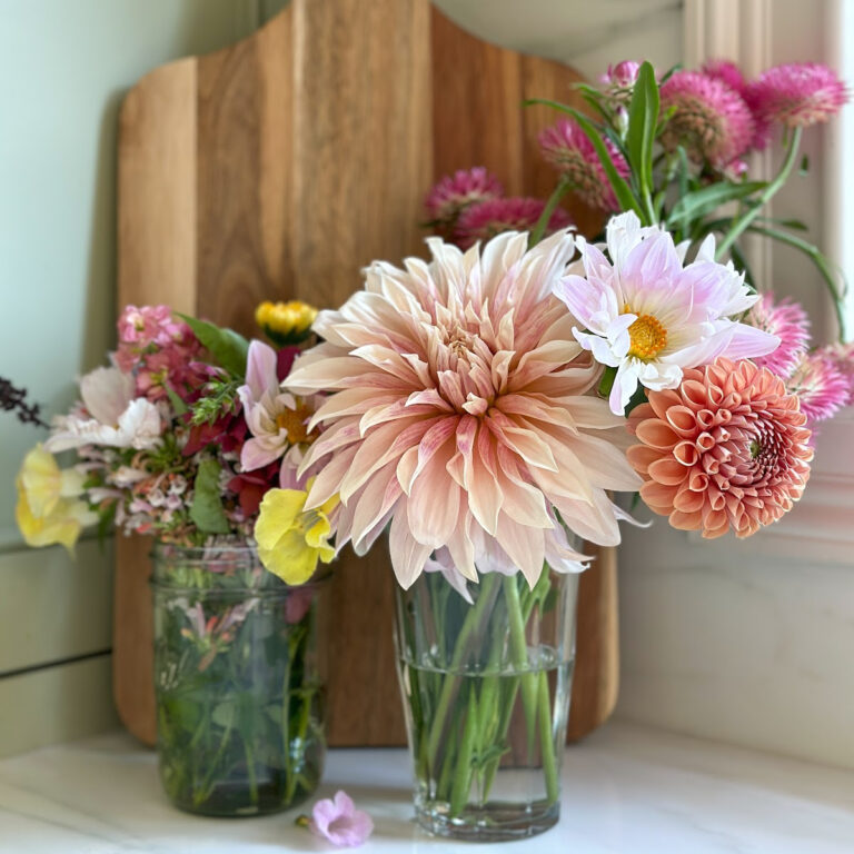 Treat Yourself to Something Fun on Today’s Weekend Meanderings