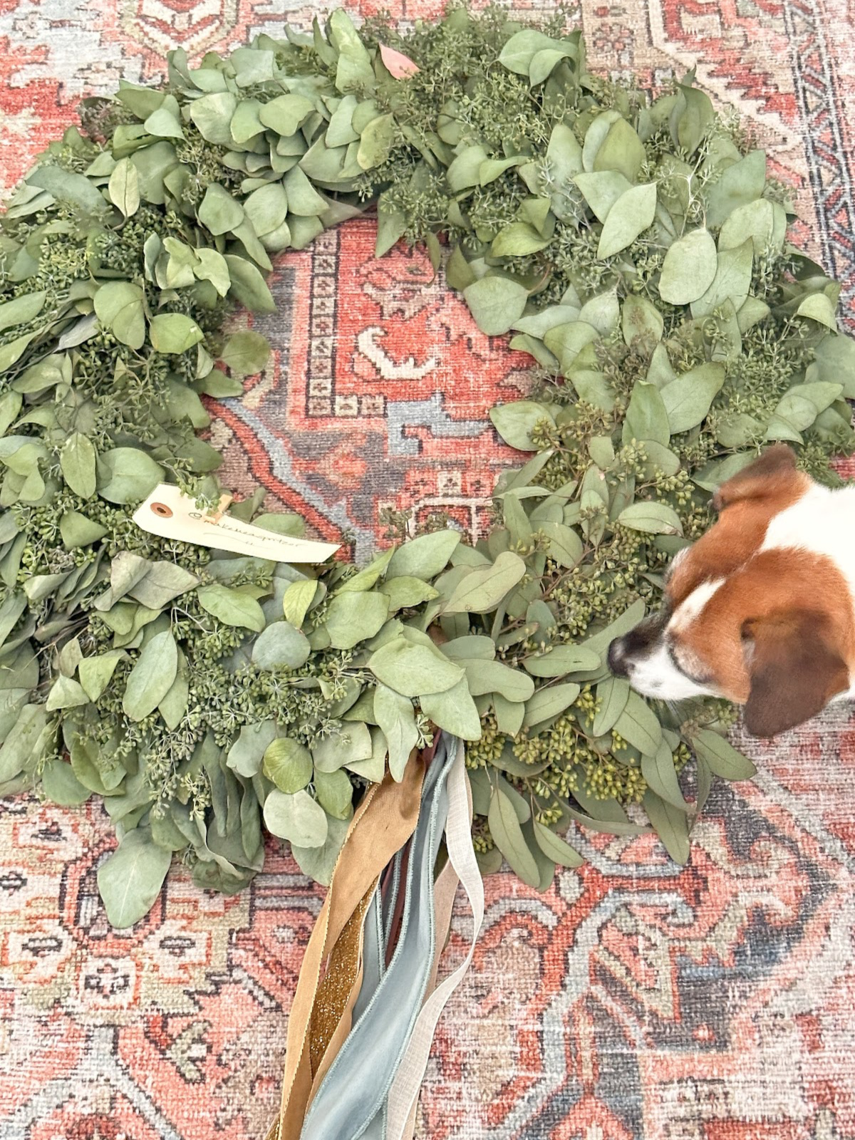 Fresh eucalyptus wreath.